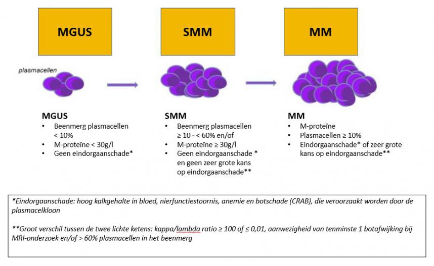 silhouet Minister etiket Multipel myeloom | Patiëntenorganisatie Hematon