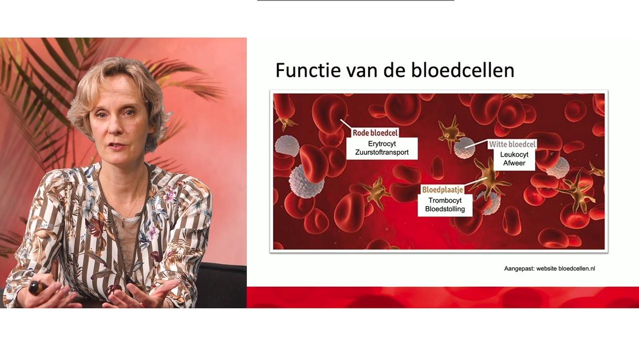 Webinar Chronische myelomonocytaire leukemie (CMML)